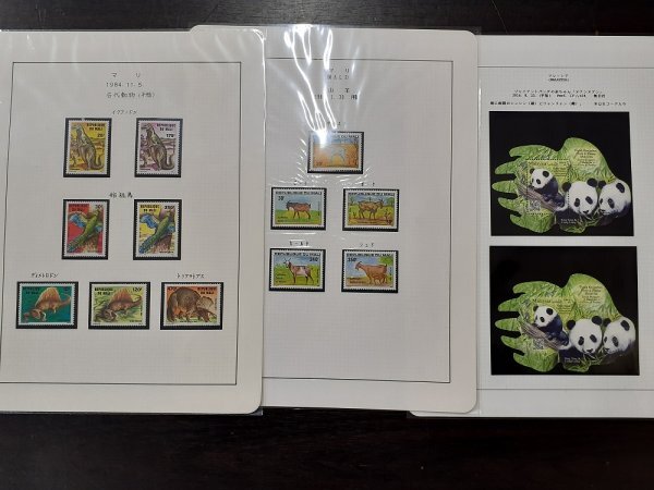 Item photo